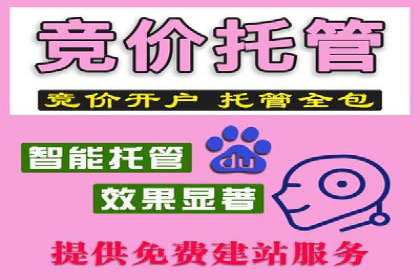 SEM托管服务成功案例精选